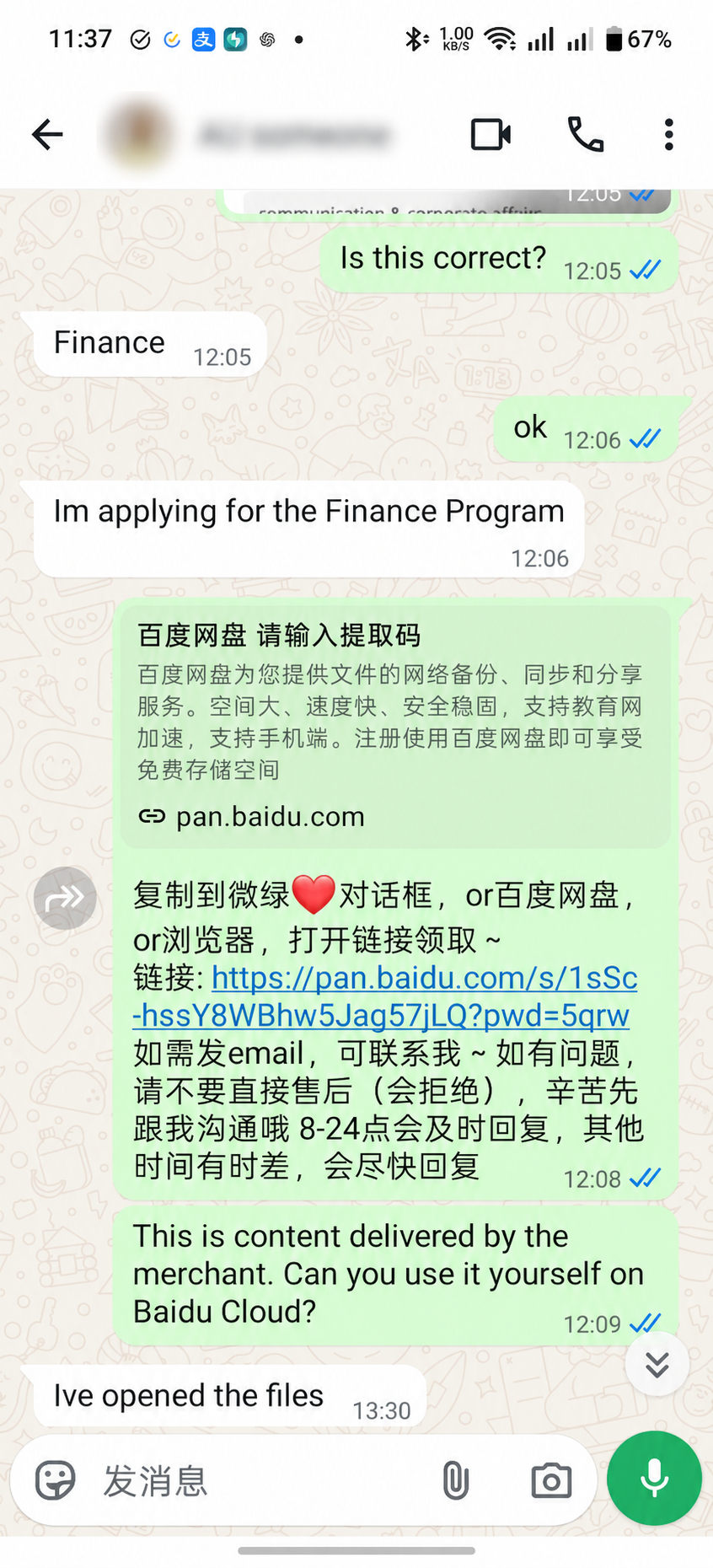 Anonymized WhatsApp conversation for Baidu Netdisk file access